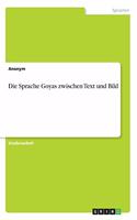 Die Sprache Goyas zwischen Text und Bild