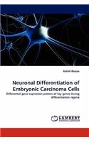 Neuronal Differentiation of Embryonic Carcinoma Cells