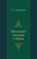 Neskolko mesyatsev u burov