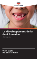 développement de la dent humaine