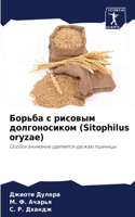 Борьба с рисовым долгоносиком (Sitophilus oryzae)