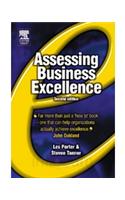 Assessing Business Excellence: A Guide To Business Excellence And Self-Assessment, 2nd Edition