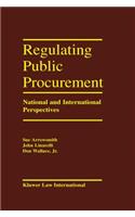 Regulating Public Procurement