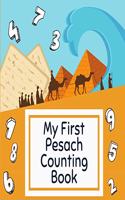 My First Pesach Counting Book