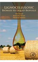 Lignocellulosic Biomass to Liquid Biofuels