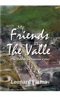 My Friends in The Valle