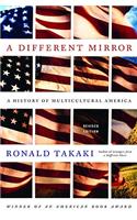 A Different Mirror