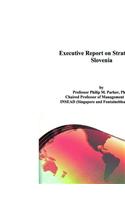 Executive Report on Strategies in Slovenia