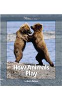 How Animals Play