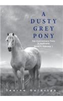 A Dusty Grey Pony Book 1 Volume 1