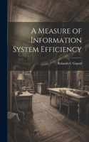 A Measure of Information System Efficiency