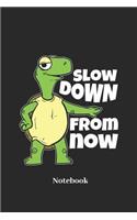 Slow Down from Now Notebook: Liniertes Notizbuch Für Reptilien, Langsam Geher, Zu Spät Kommern Und Schildkröten Fans - Notizheft Klatte Für Männer, Frauen Und Kinder