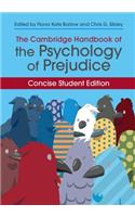 Cambridge Handbook of the Psychology of Prejudice