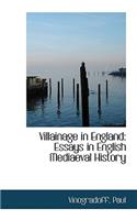 Villainage in England: Essays in English Mediaeval History: Essays in English Mediaeval History