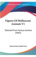 Figures Of Molluscous Animals V1: Selected From Various Authors (1842)(English)