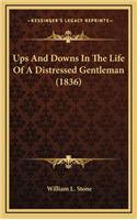 Ups and Downs in the Life of a Distressed Gentleman (1836)