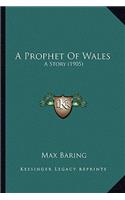 Prophet Of Wales
