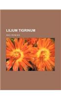 Lilium Tigrinum