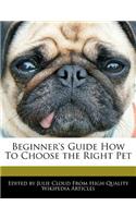 Beginner's Guide How to Choose the Right Pet