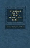 Erinnerungen Aus Dem Hofleben - Primary Source Edition