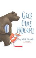 Gros Ours Endormi
