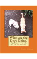 What are the Dogs Doing?