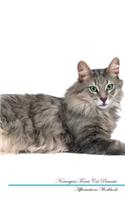 Norwegian Forest Cat Affirmations Workbook Norwegian Forest Cat Presents: Positive and Loving Affirmations Workbook. Includes: Mentoring Questions, Guidance, Supporting You.