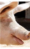 Smiling Pink Pig in Profile Farm Animal Journal