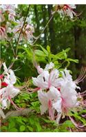 White Summer Blooms Journal