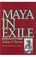 Maya in Exile