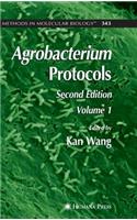 Agrobacterium Protocols: Volume I(343 Methods in Molecular Biology)