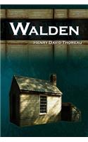 Walden - Life in the Woods - The Transcendentalist Masterpiece