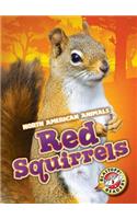 Red Squirrels: (North American Animals)