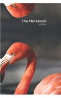 The Notebook by flamingo - Lovely pink birds