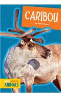 Caribou: (North American Animals)