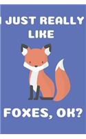 I Just Really Like Foxes Ok?: JOURNAL FOR FOX LOVERS BLANK NOTEBOOK (6x9), 120 PAGES