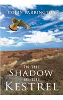 In the Shadow of the Kestrel