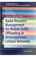 Radio Resource Management for Mobile Traffic Offloading in Heterogeneous Cellular Networks