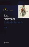 Lanz / Wachsmuth Praktische Anatomie. Arm: Ein Lehr- Und Hilfsbuch Der Anatomischen Grundlagen Rztlichen Handelns