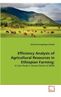 Efficiency Analysis of Agricultural Resources in Ethiopian Farming
