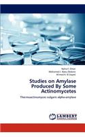 Studies on Amylase Produced by Some Actinomycetes