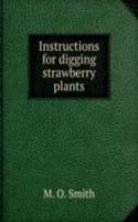 Instructions for digging strawberry plants