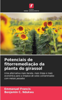 Potenciais de fitorremediação da planta do girassol