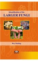 Identification of the Larger Fungi