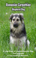 Romanian Carpathian Shepherd Dog