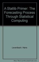 A Statlib Primer: The Forecasting Process Through Statistical Computing