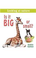 Is It Big or Small?: (Looking at Nature)