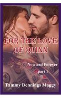 For the Love of Quinn (Now and Forever Part 1)