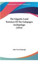 The Gigantic Land Tortoises Of The Galapagos Archipelago (1914)
