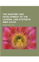 The Anatomy and Development of the Lateral Line System in Amia Calva
